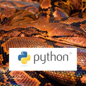 Von 0 auf 100: Python Programmieren Tutorial