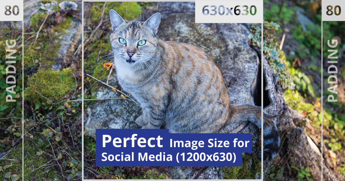 Perfect Image Size for Social Media • Russwurm