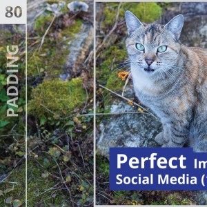 Perfect Image Size for Social Media